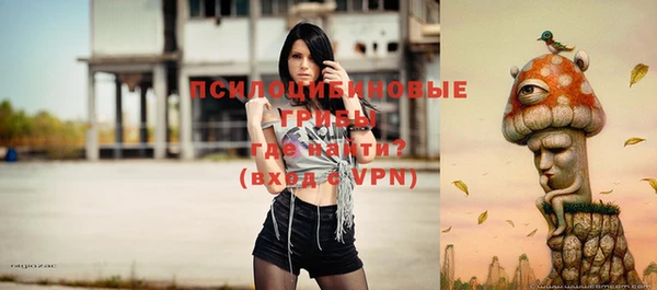 шишки Снежинск