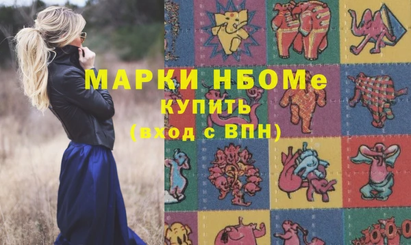 шишки Белоозёрский