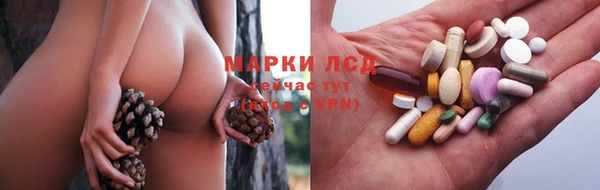 шишки Белоозёрский