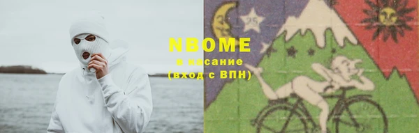 шишки Белоозёрский