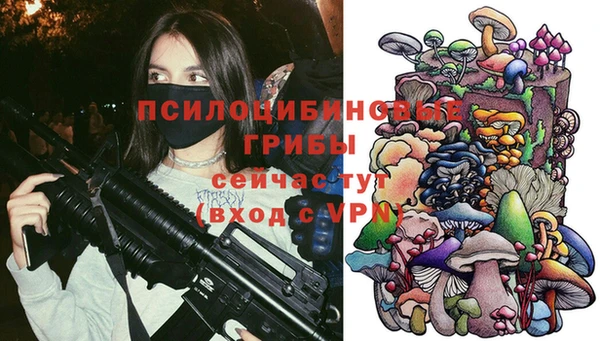 скорость Белокуриха