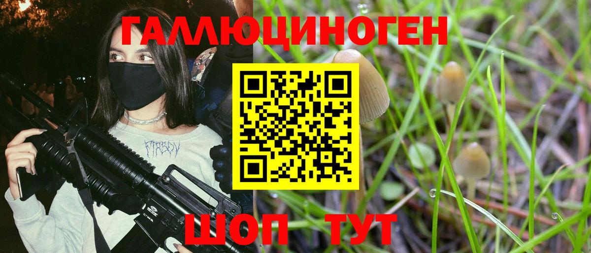 Галлюциногенные грибы Psilocybe  как найти   Вход с VPN  Воскресенск  Галлюциногенные грибы Magic Shrooms 