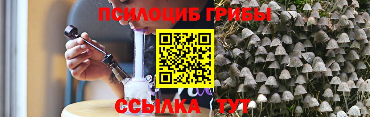 Псилоцибиновые грибы Psilocybe Воскресенск